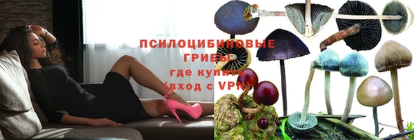 спайс Белокуриха