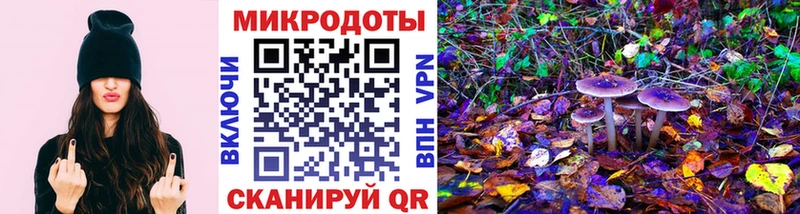 Псилоцибиновые грибы Psilocybe  Светогорск 