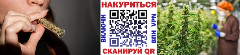 Бошки марихуана Bruce Banner  продажа наркотиков  Светогорск 